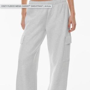 Aritzia Cozy Fleece Mega Cargo™ Sweatpant